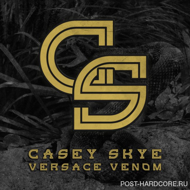 Casey Skye - Versace Venom [single] (2014)