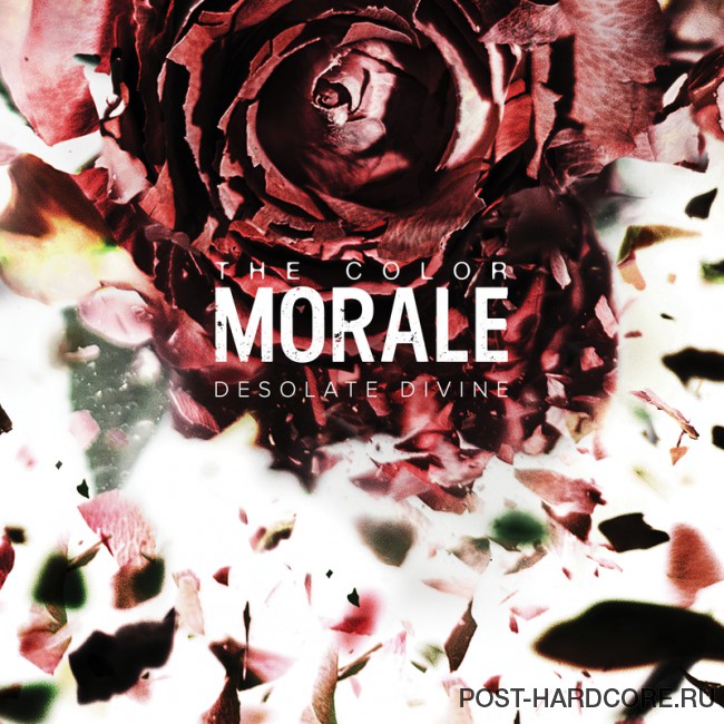 The Color Morale - Walls [single] (2016)