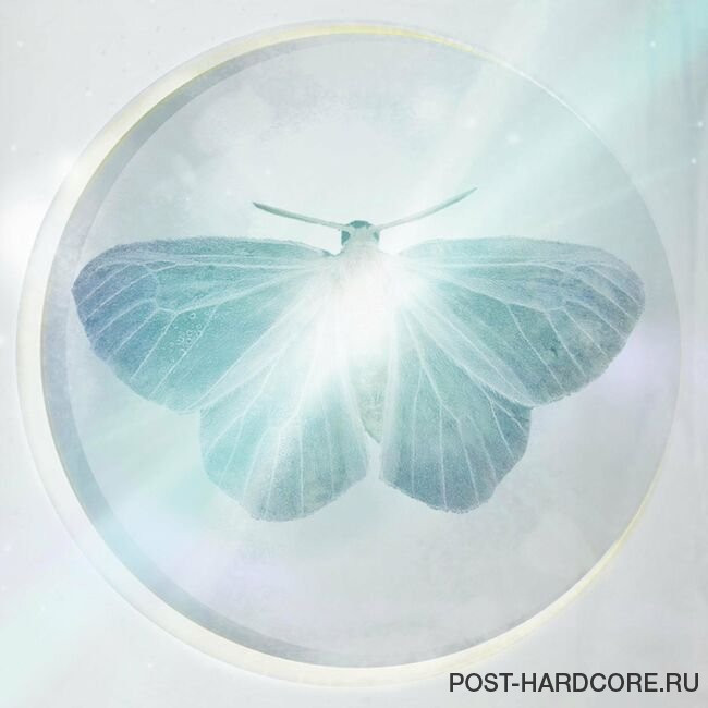 Rise up Lights - Felicity [single] (2023)
