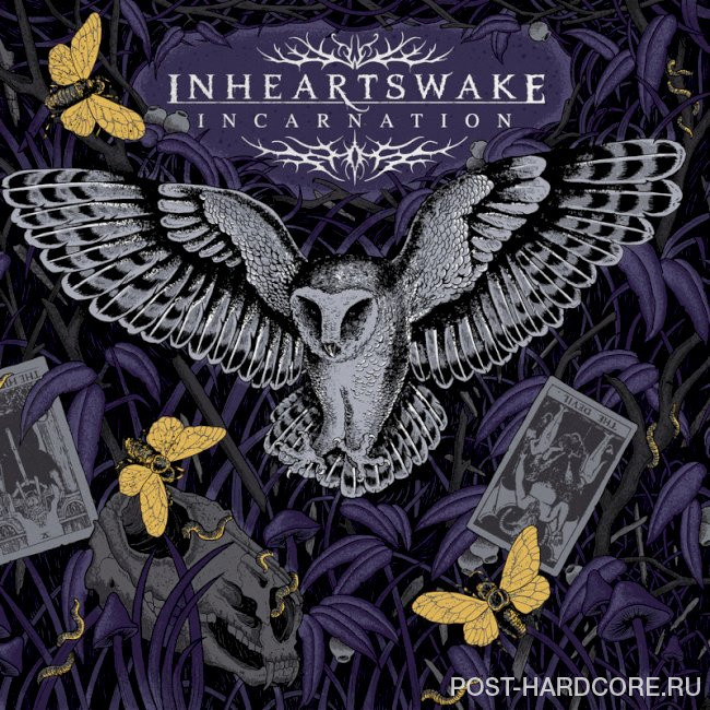 In Hearts Wake - Hollow Bone (plɹoʍ ǝɥʇ) [single] (2024)