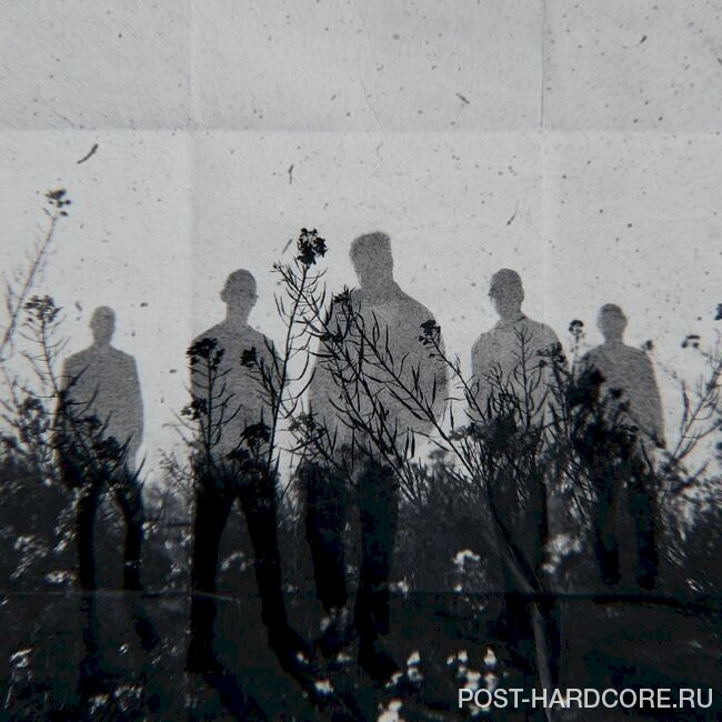 Rain City Drive - Neverbloom [single] (2024)