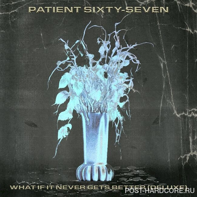 Patient Sixty-Seven - What If It Never Gets Better (Deluxe) (2025)